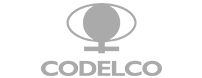 codelco logo blk