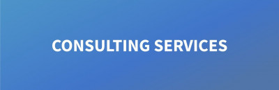 CONSULTING SERVICES