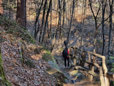 HERON MS Twin - forestry mapping